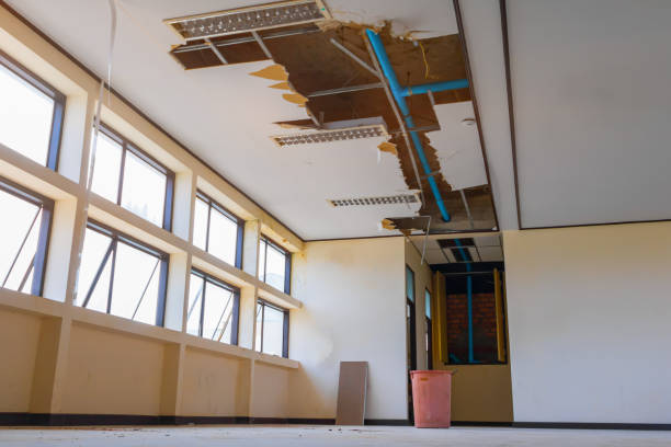 Best Water damage cleanup near me  in Cherryville, PA