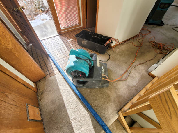 Best Flood restoration services  in Cherryville, PA