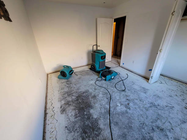 Best Water damage contractors near me  in Cherryville, PA