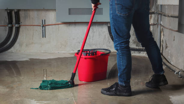 Best Flooded house restoration  in Cherryville, PA