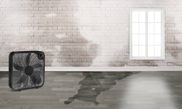 Best Water damage restoration near me  in Cherryville, PA