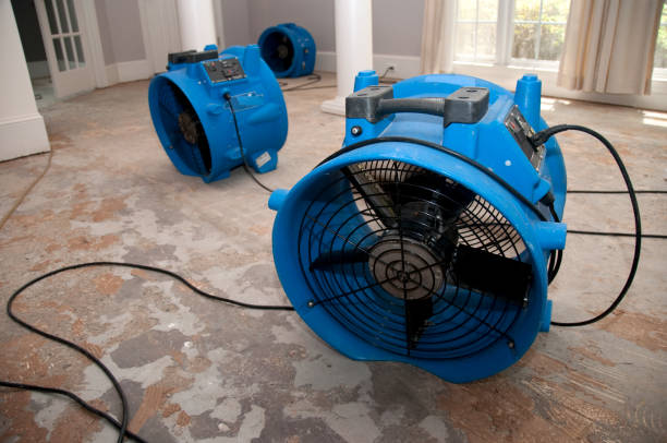 Sewage cleanup and water damage restoration in Cherryville, PA
